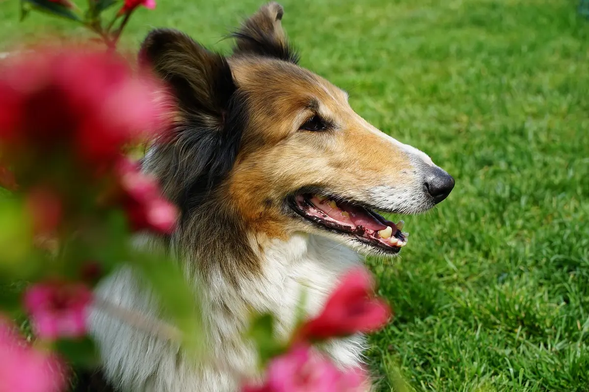 melhores hostels de Fortaleza