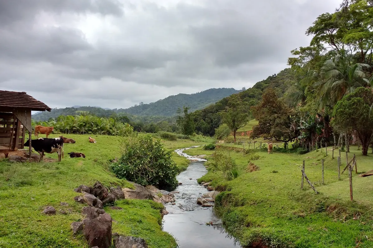o que fazer de graça em pomerode