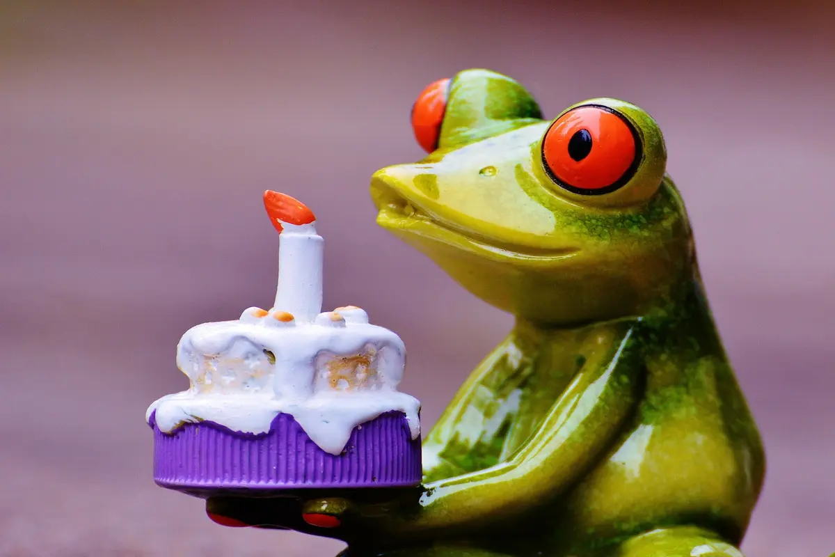 o que fazer de graça no seu aniversário