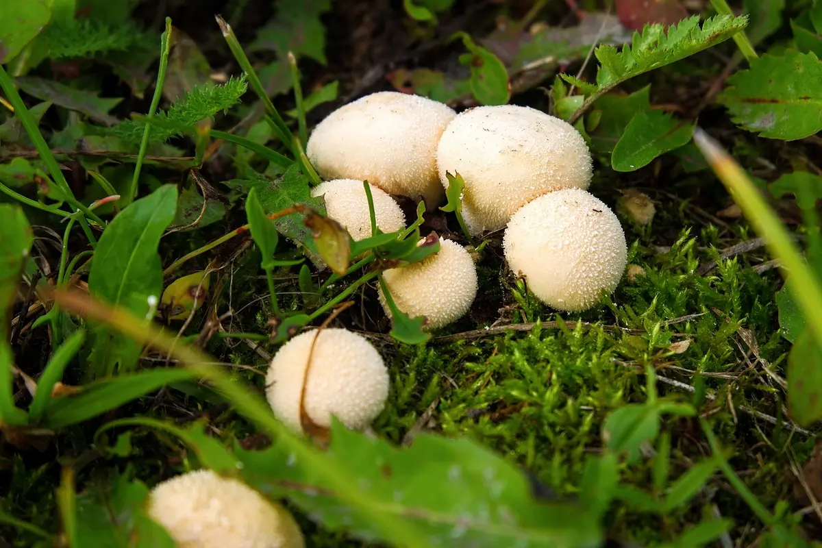 o que fazer em paraty com chuva