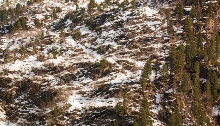 Melhores agências de turismo de Gramado: Top 10 que você precisa conhecer