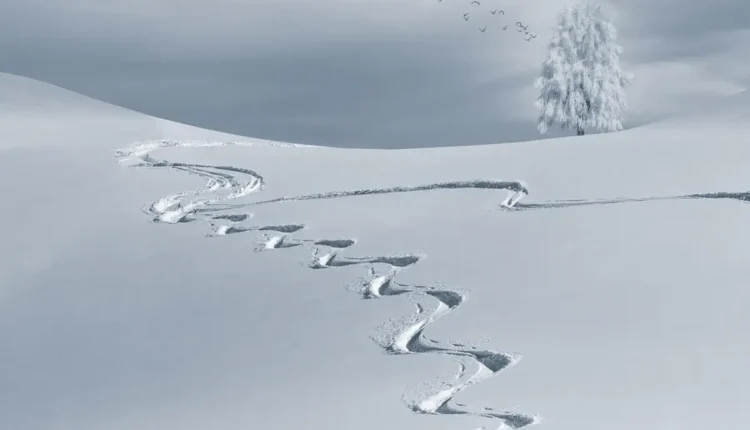 O Que Fazer Em Guararema Entenda As Melhores Opções