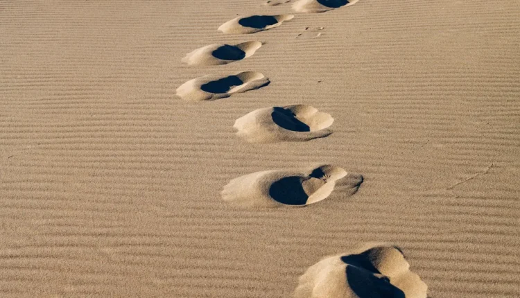 O Que Fazer Em Guarujá: Guia Essencial Para Aproveitar Ao Máximo