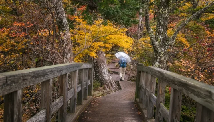 O Que Fazer Em Ubatuba Com Chuva Entenda As Melhores Atividades