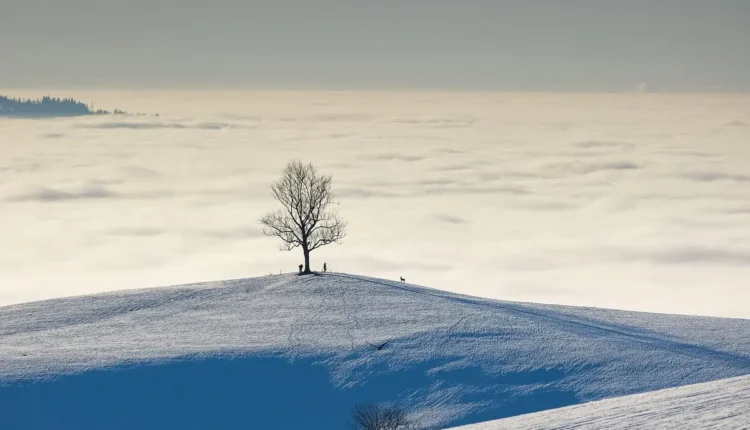 O Que Fazer em Amparo Tudo o Que Você Precisa Saber