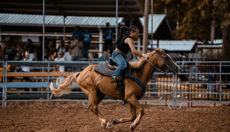 O Que Fazer em Barretos Tudo o Que Você Precisa Saber