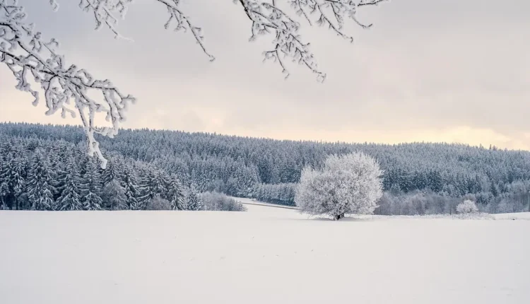 O Que Fazer em São Francisco de Paula Entenda os Melhores Passeios