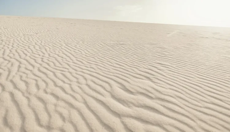 Melhores agências de turismo de Jericoacoara: Top 10 opções imperdíveis