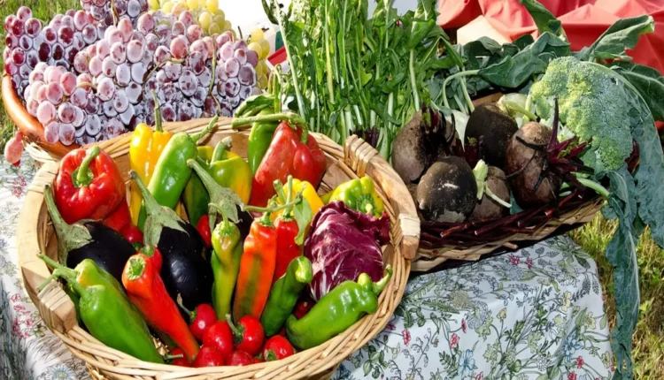 Melhores supermercados de Arraial do Cabo: 10 opções imperdíveis para sua compra