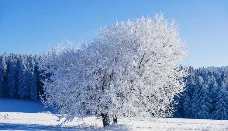 O Que Fazer em Aiuruoca: Guia Prático para Aproveitar ao Máximo