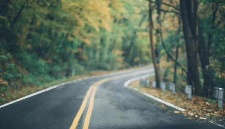 Melhores vans de São Miguel do Gostoso: Top 10 opções imperdíveis para sua viagem