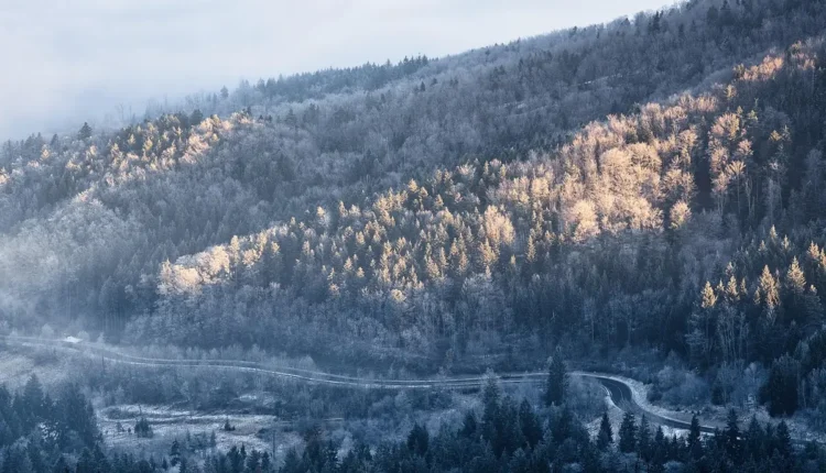 O Que Fazer Em Sapucaí Mirim Tudo o Que Você Precisa Saber