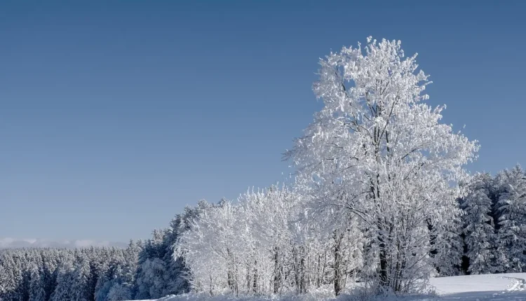 O Que Fazer Em Urupema: Tudo O Que Você Precisa Saber