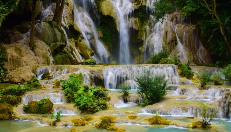 O Que Fazer em Cachoeira de Macacu Entenda As Melhores Opções