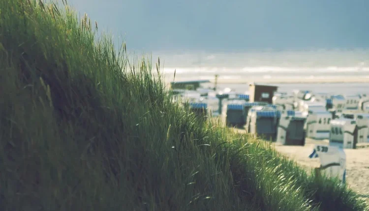 O Que Fazer em Vila Velha Espírito Santo: Tudo o Que Você Precisa Saber