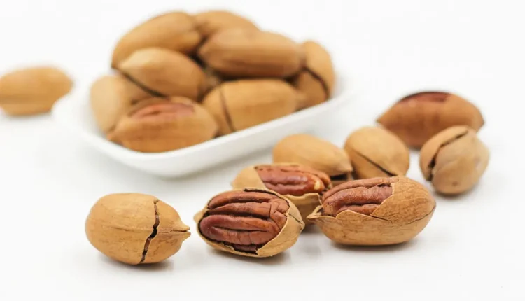 Melhores lanchonetes de João Pessoa: Top 10 imperdíveis para saborear!