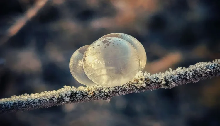 Melhores sorveterias de João Pessoa: Top 10 que você precisa conhecer