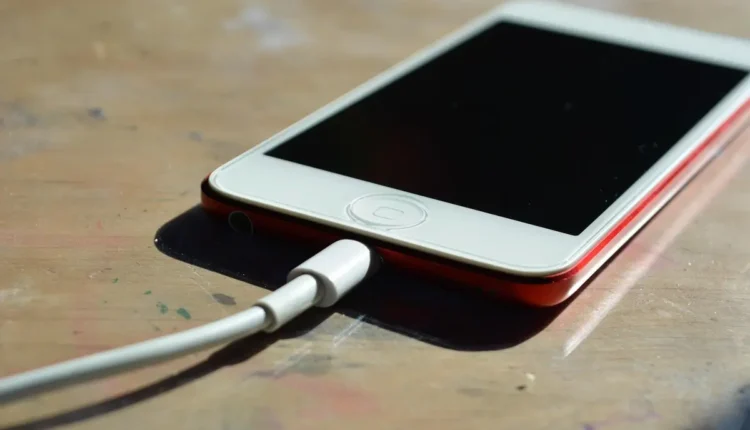 Melhores transfers de Balneário Camboriú: 10 opções imperdíveis para sua viagem