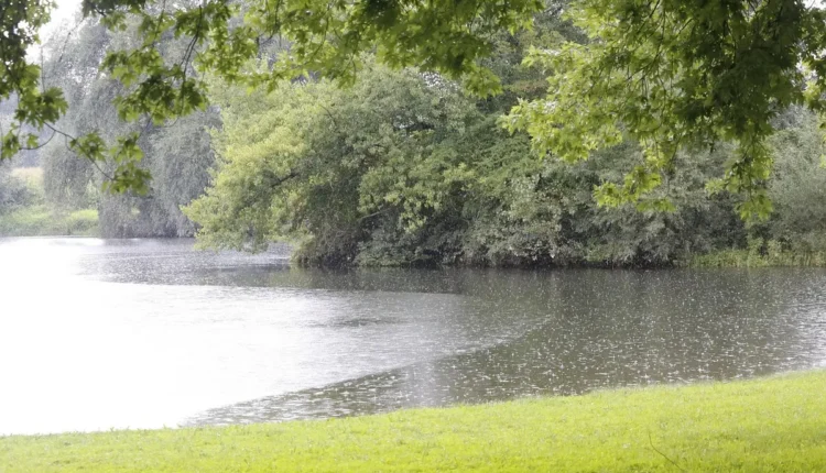 O Que Fazer Em Campos do Jordão Com Chuva Entenda As Melhores Opções