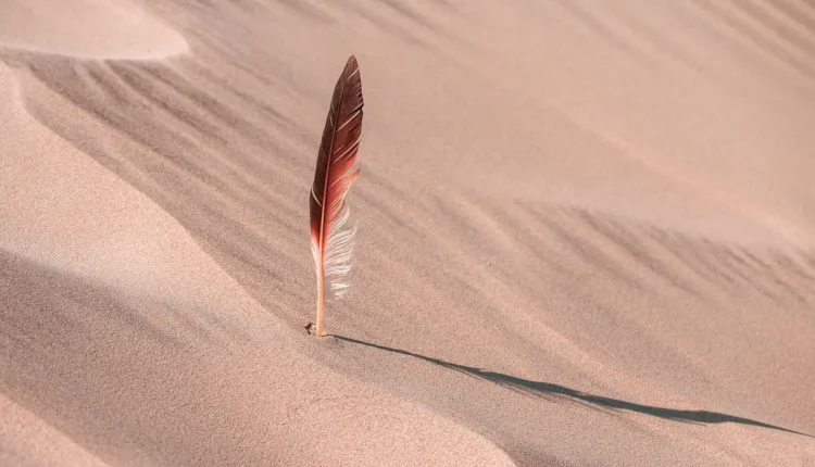 O Que Fazer Em Marília Entenda As Melhores Opções de Passeios