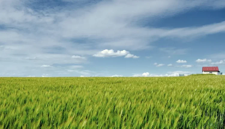 O Que Fazer em Atins Entenda as Melhores Atrações