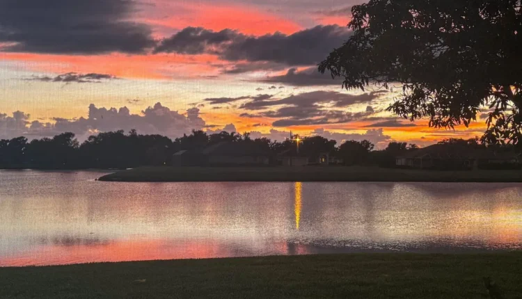 O Que Fazer em Florida Entenda as Melhores Opções