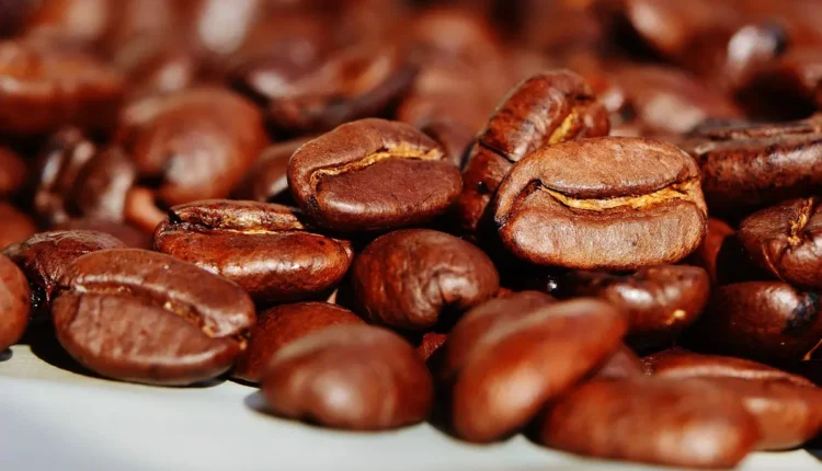 Melhores cafeterias de Maragogi: 10 opções que você precisa conhecer