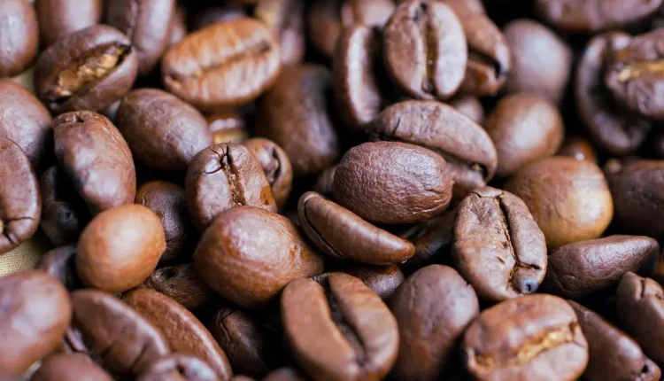 Melhores cafeterias de Belém: 10 opções imperdíveis para os amantes do café