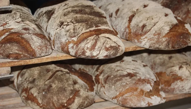 Melhores padarias de Petrópolis: 10 lugares imperdíveis para saborear deliciosos pães e doces