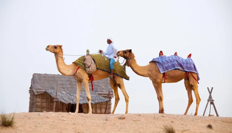 O Que Fazer de Graça em Dubai Entenda as Melhores Opções Econômicas
