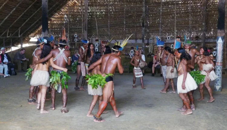 O Que Fazer de Graça em Manaus Entenda as Melhores Opções Gratuitamente