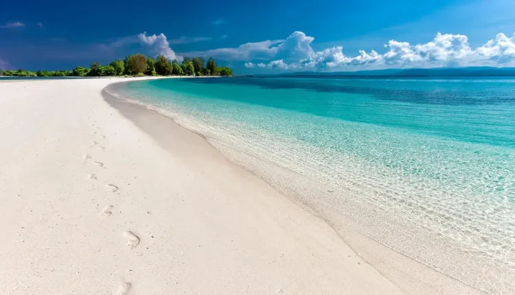 O Que Fazer de Graça em Praia Grande SC Entenda As Melhores Opções
