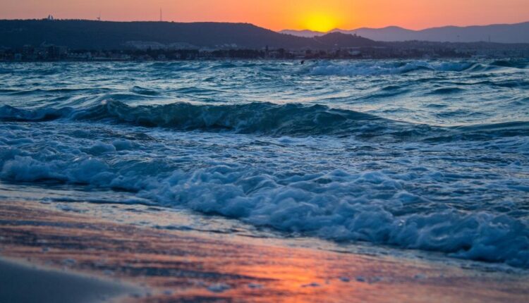 Praia da Cocanha é Boa para Crianças? Descubra se Vale a Pena Levar a Família