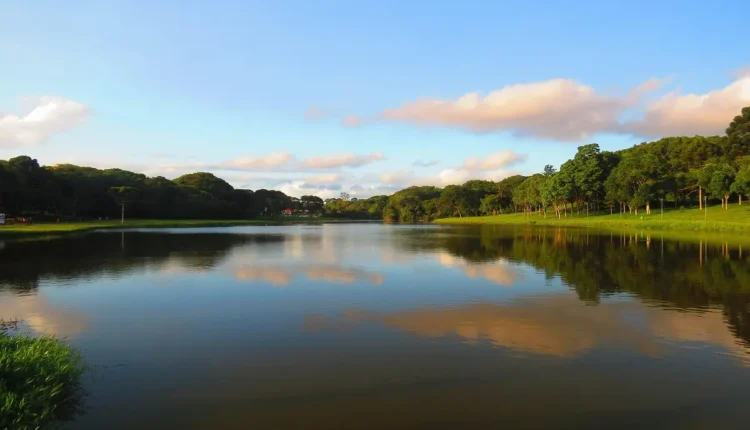 Melhores aluguéis por temporada de Curitiba: 10 opções imperdíveis para sua estadia