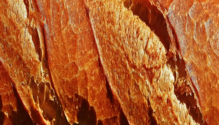 Melhores padarias de Cuiabá: 10 opções imperdíveis para você conhecer