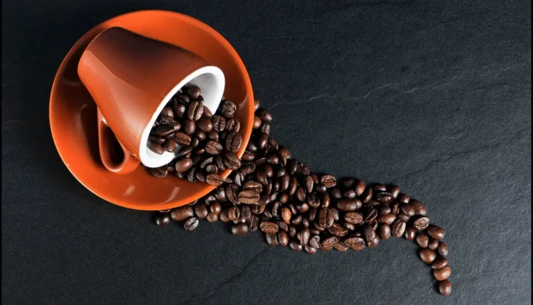 Melhores cafeterias de Campinas: 10 imperdíveis para os amantes de café