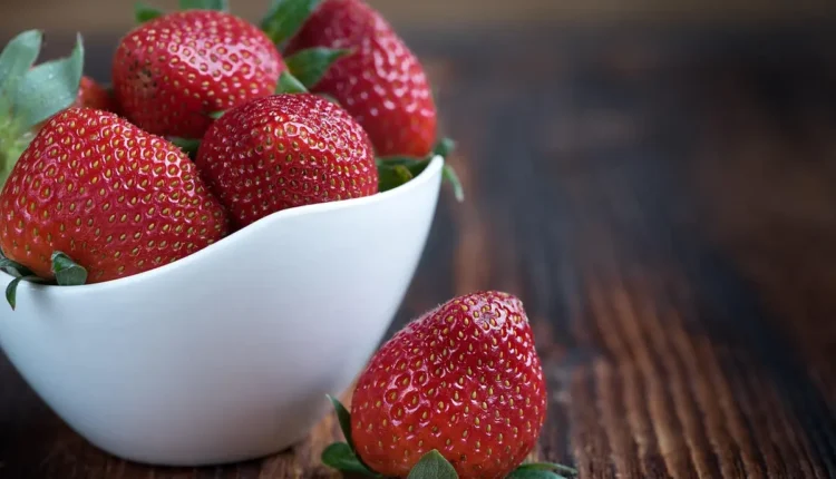 Melhores lanchonetes de Santos: Top 10 que você precisa conhecer