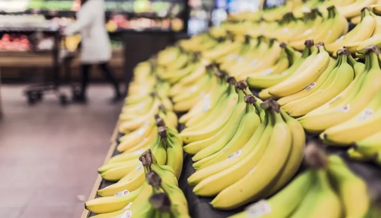 Melhores supermercados de Santos: Top 10 para suas compras idealizadas